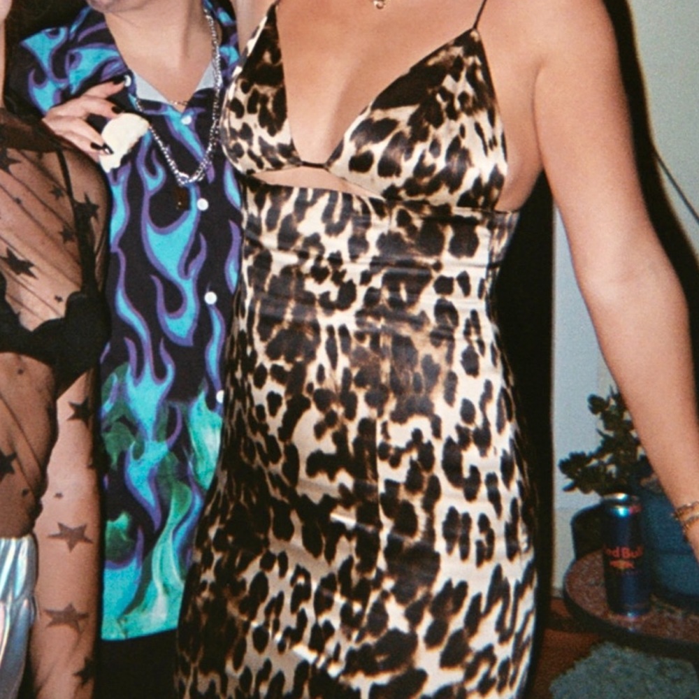 Zara Silk Cheetah Print Midi Dress